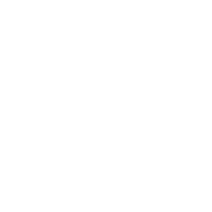 Fluxtrol globe mark in white